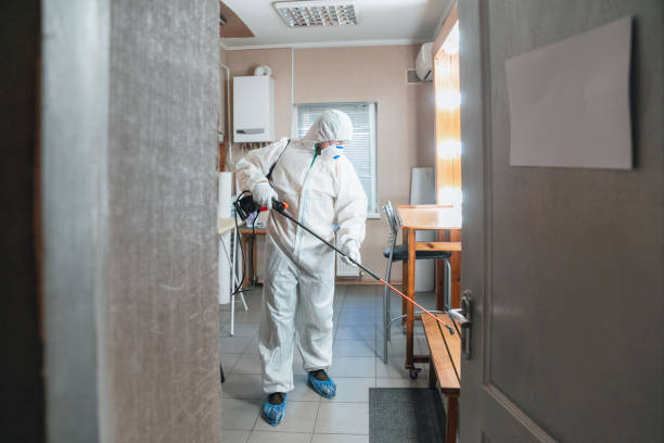 Best Real Estate Mold Inspection  in Pitcairn, PA