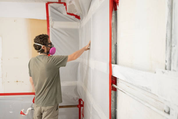 Best Residential Mold Inspection & Testing  in Pitcairn, PA